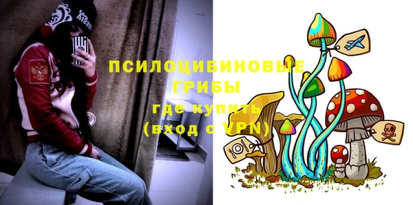 2c-b Михайлов