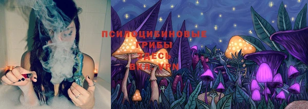 мдпв Медвежьегорск